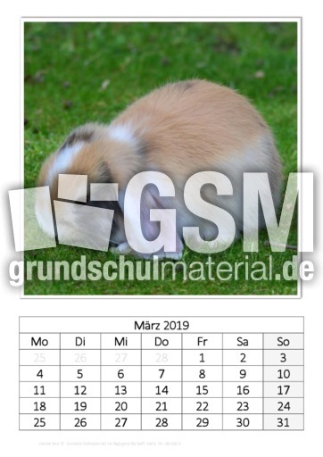 März_Kaninchen_2.pdf